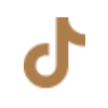 tiktok-icon